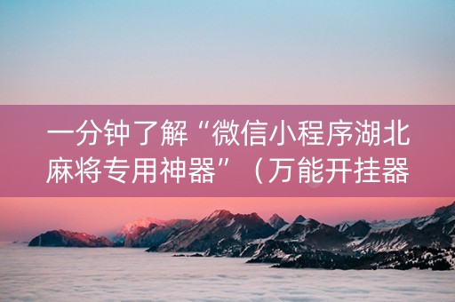 一分钟了解“微信小程序湖北麻将专用神器”（万能开挂器)