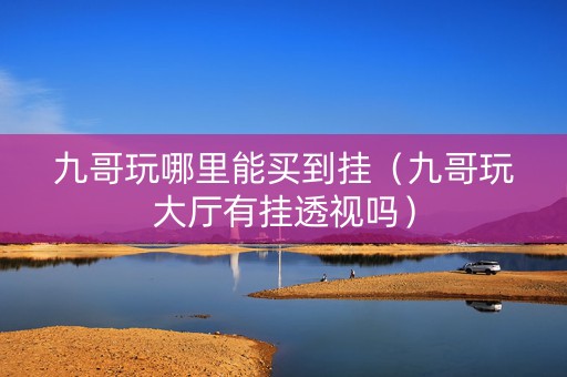 九哥玩哪里能买到挂（九哥玩大厅有挂透视吗）