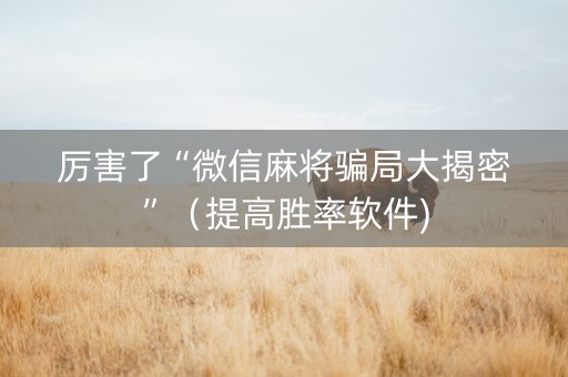 厉害了“微信麻将骗局大揭密”（提高胜率软件)