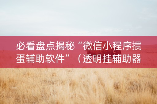 必看盘点揭秘“微信小程序掼蛋辅助软件”（透明挂辅助器)