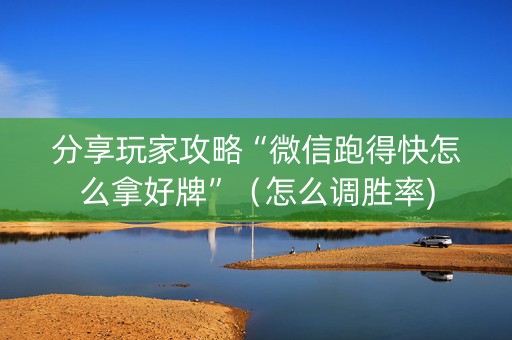分享玩家攻略“微信跑得快怎么拿好牌”（怎么调胜率)
