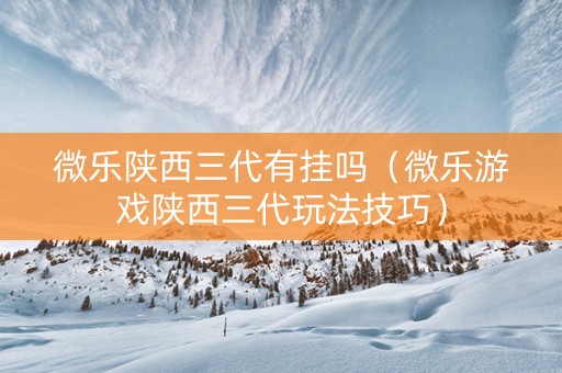 微乐陕西三代有挂吗（微乐游戏陕西三代玩法技巧）
