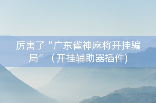 厉害了“广东雀神麻将开挂骗局”（开挂辅助器插件)
