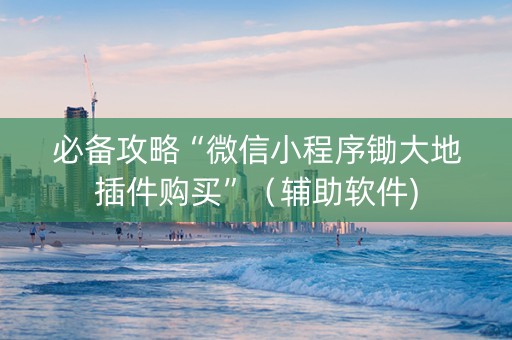 必备攻略“微信小程序锄大地插件购买”（辅助软件)