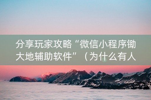 分享玩家攻略“微信小程序锄大地辅助软件”（为什么有人一直赢)
