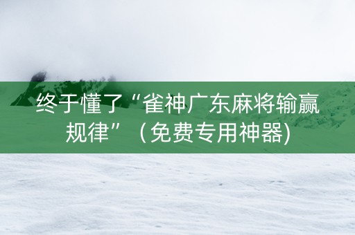 终于懂了“雀神广东麻将输赢规律”（免费专用神器)