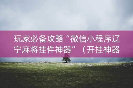 玩家必备攻略“微信小程序辽宁麻将挂件神器”（开挂神器下载)