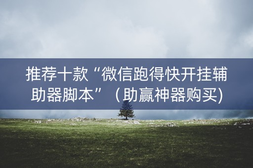 推荐十款“微信跑得快开挂辅助器脚本”（助赢神器购买)