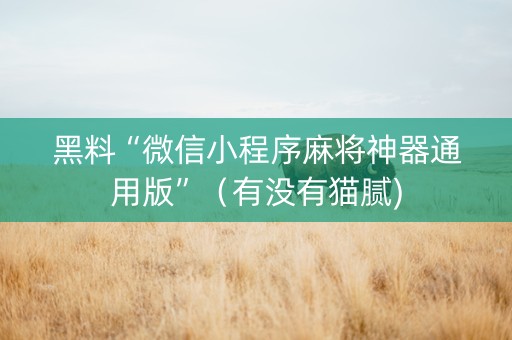 黑料“微信小程序麻将神器通用版”（有没有猫腻)