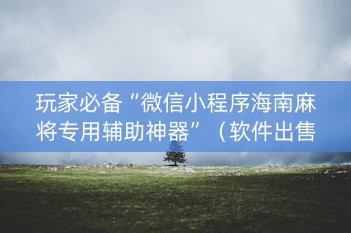玩家必备“微信小程序海南麻将专用辅助神器”（软件出售)