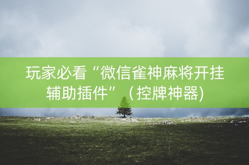 玩家必看“微信雀神麻将开挂辅助插件”（控牌神器)