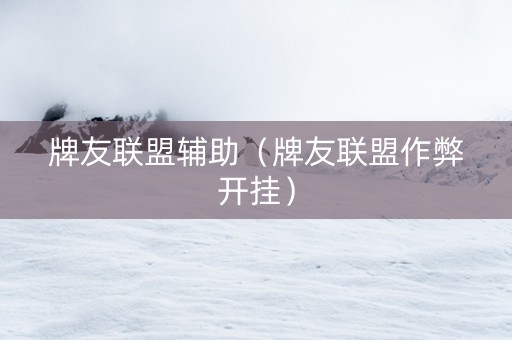 牌友联盟辅助（牌友联盟作弊开挂）