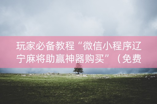 玩家必备教程“微信小程序辽宁麻将助赢神器购买”（免费专用神器)