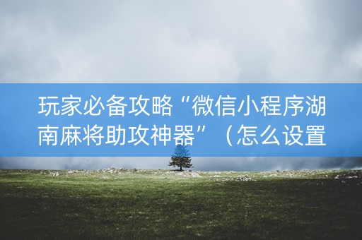 玩家必备攻略“微信小程序湖南麻将助攻神器”（怎么设置能有好牌)