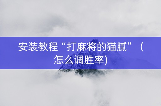 安装教程“打麻将的猫腻”（怎么调胜率)