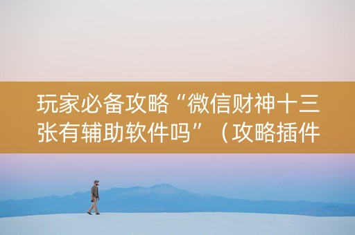 玩家必备攻略“微信财神十三张有辅助软件吗”（攻略插件)