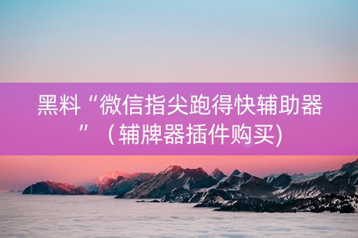黑料“微信指尖跑得快辅助器”（辅牌器插件购买)