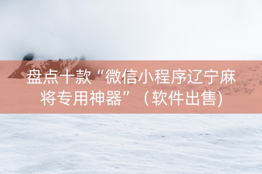 盘点十款“微信小程序辽宁麻将专用神器”（软件出售)