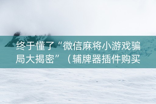 终于懂了“微信麻将小游戏骗局大揭密”（辅牌器插件购买)