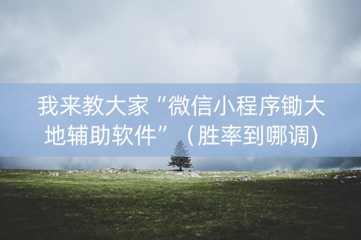 我来教大家“微信小程序锄大地辅助软件”（胜率到哪调)