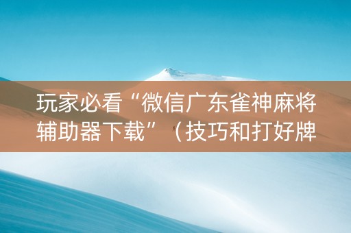 玩家必看“微信广东雀神麻将辅助器下载”（技巧和打好牌方法)