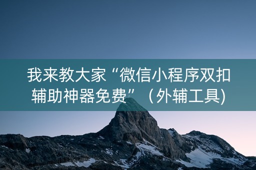 我来教大家“微信小程序双扣辅助神器免费”（外辅工具)