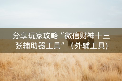 分享玩家攻略“微信财神十三张辅助器工具”（外辅工具)