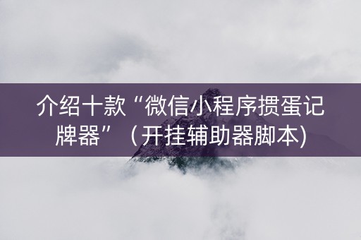 介绍十款“微信小程序掼蛋记牌器”（开挂辅助器脚本)