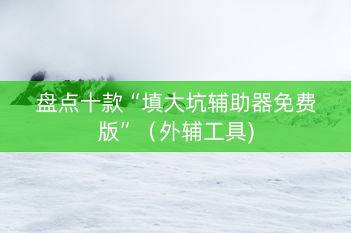 盘点十款“填大坑辅助器免费版”（外辅工具)