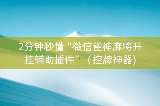 2分钟秒懂“微信雀神麻将开挂辅助插件”（控牌神器)