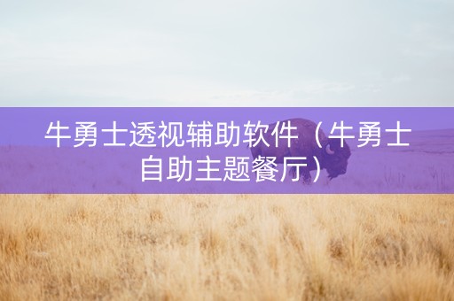 牛勇士透视辅助软件（牛勇士自助主题餐厅）