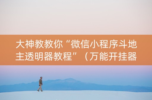 大神教教你“微信小程序斗地主透明器教程”（万能开挂器)