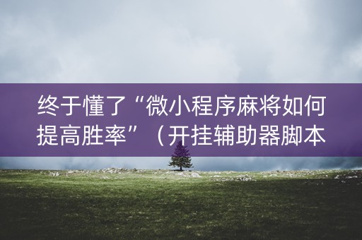 终于懂了“微小程序麻将如何提高胜率”（开挂辅助器脚本)