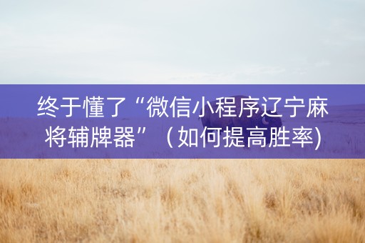 终于懂了“微信小程序辽宁麻将辅牌器”（如何提高胜率)
