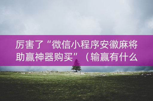 厉害了“微信小程序安徽麻将助赢神器购买”（输赢有什么规律)