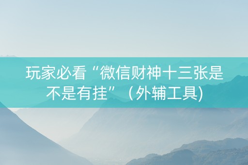 玩家必看“微信财神十三张是不是有挂”（外辅工具)