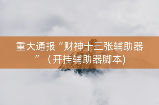 重大通报“财神十三张辅助器”（开挂辅助器脚本)