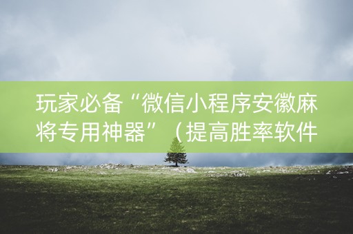 玩家必备“微信小程序安徽麻将专用神器”（提高胜率软件)