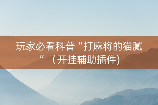 玩家必看科普“打麻将的猫腻”（开挂辅助插件)