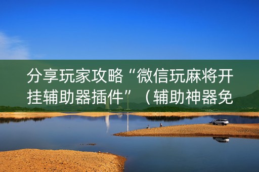 分享玩家攻略“微信玩麻将开挂辅助器插件”（辅助神器免费)