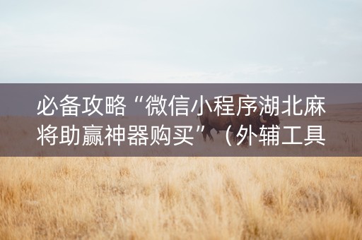 必备攻略“微信小程序湖北麻将助赢神器购买”（外辅工具)