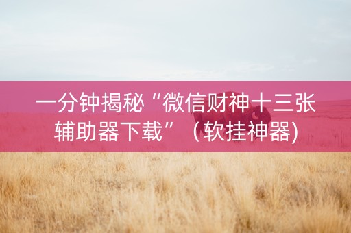 一分钟揭秘“微信财神十三张辅助器下载”（软挂神器)