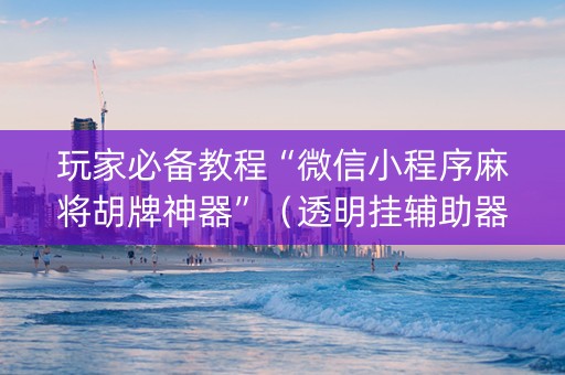 玩家必备教程“微信小程序麻将胡牌神器”（透明挂辅助器)