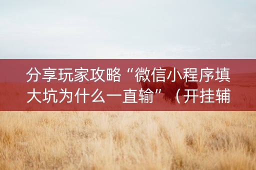 分享玩家攻略“微信小程序填大坑为什么一直输”（开挂辅助插件)