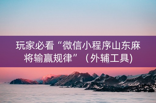 玩家必看“微信小程序山东麻将输赢规律”（外辅工具)