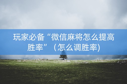 玩家必备“微信麻将怎么提高胜率”（怎么调胜率)