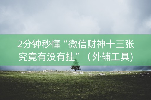 2分钟秒懂“微信财神十三张究竟有没有挂”（外辅工具)