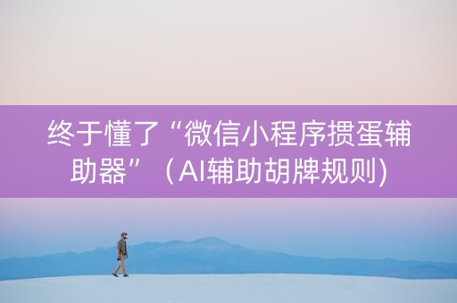 终于懂了“微信小程序掼蛋辅助器”（AI辅助胡牌规则)