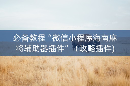 必备教程“微信小程序海南麻将辅助器插件”（攻略插件)