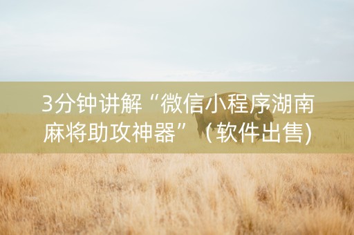 3分钟讲解“微信小程序湖南麻将助攻神器”（软件出售)